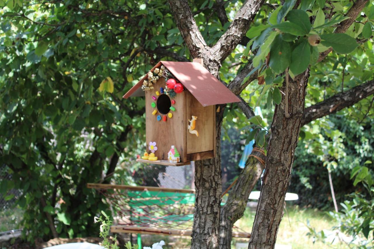 Guest House Poligloti Telavi Kültér fotó