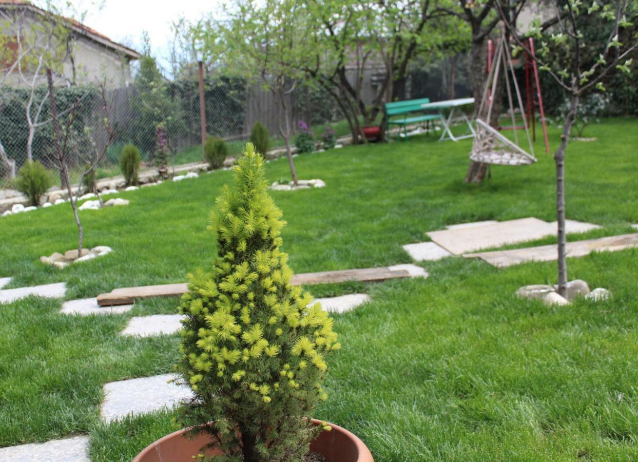 Guest House Poligloti Telavi Kültér fotó